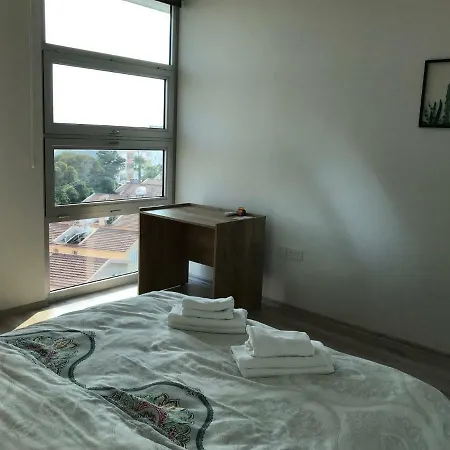 Luxury Flat In Yenikent *